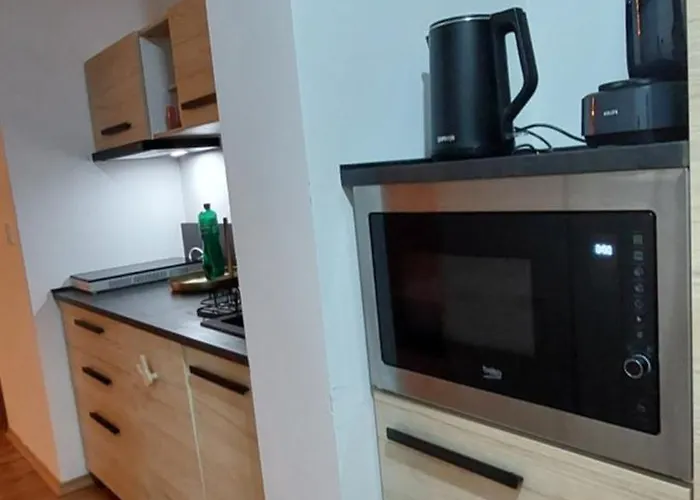 Pink Elephant Daire Subotica